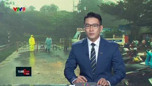 Thời sự: Toàn cảnh 24h (19/11/2025)