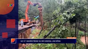 Thời sự: Phương Nam hôm nay (20/11/2025)