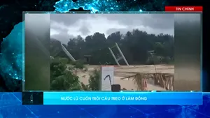 Thời sự: Toàn cảnh 24h (20/11/2025)