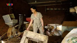 Mất lương thực trong nước lũ