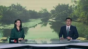 Thời sự: Toàn cảnh 24h (24/11/2025)