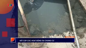 Thời sự: Phương Nam hôm nay (25/11/2025)