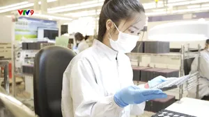 TP. Hồ Chí Minh: Thu hút vốn đầu tư FDI giữ vững tăng trưởng