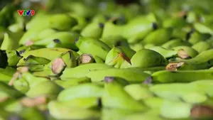 Nông nghiệp - "Mỏ vàng" của kinh tế tuần hoàn