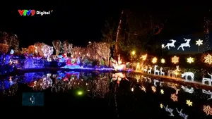 Không khí đón giáng sinh trên thế giới