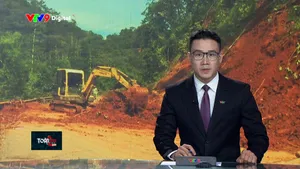 Thời sự: Toàn cảnh 24h (05/12/2025)