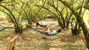 Vườn táo 40 năm tuổi - Điểm đến độc đáo ở Đồng Tháp