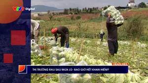 Thời sự: Phương Nam hôm nay (07/12/2025)