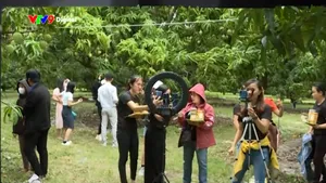 KOL và chiến dịch "Không một mình - Cùng nhau an toàn trực tuyến"