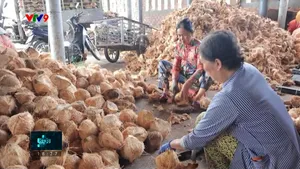 Những đôi tay bền bỉ