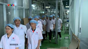 Hướng nghiệp sớm giảm tình trạng bỏ học giữa chừng