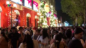 TP. Hồ Chí Minh rộn ràng đón không khí giáng sinh