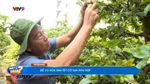 Thời sự: Biết gì chưa (25/12/2025)