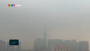 Tăng cường các giải pháp bảo vệ môi trường