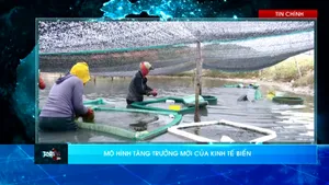 Thời sự: Toàn cảnh 24h (26/12/2025)