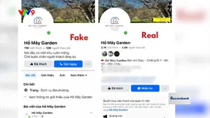 Bẫy thao túng tâm lý khi đặt phòng khách sạn online