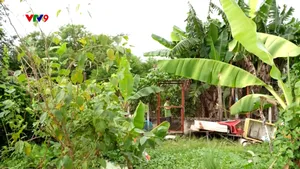 Khánh thành nhiều công trình dân sinh chào đón năm mới