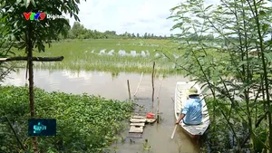 Giữ cá đồng giữa miền sông nước