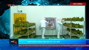 Thời sự: Toàn cảnh 24h (02/01/2026)