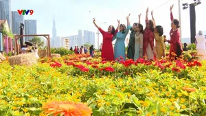 Ấn tượng vườn hướng dương khoe sắc bên bờ sông Sài Gòn