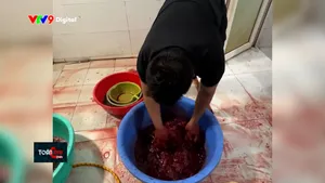 Tiếp tục điều tra mở rộng đường dây phù phép thịt heo thành thịt bò