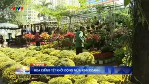 Thời sự: Sáng phương Nam (07/01/2026)