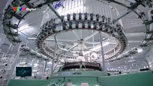 TP. HCM: Chuyển đổi xanh từ động lực thể chế