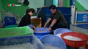 "Vị ngon vô hình" từ muối ủ công nghệ Nhật Bản