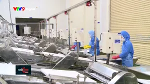 Xuất khẩu 2026: Doanh nghiệp đổi chiến lược để tăng trưởng