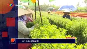 Thời sự: Phương Nam hôm nay (11/01/2026)