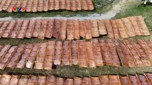 Rộn ràng vụ bánh tráng Tết Bình An