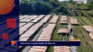 Thời sự: Phương Nam hôm nay (17/01/2026