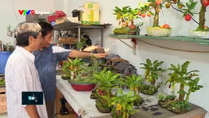 Bàn tay giữ lại hồn quê