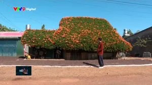 Ngôi nhà lợp mái bằng hoa