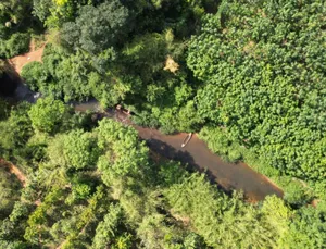 Chấp thuận nhà đầu tư làm đường nối cầu Mã Đà với Vành đai 4 TP. Hồ Chí Minh