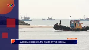 Thời sự: Phương Nam hôm nay (26/01/2026)