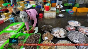 Triệt phá đường dây ngâm 3.000 tấn ốc bươu trong hóa chất xây dựng