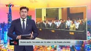 Thời sự: Toàn cảnh 24h (29/01/2026)