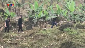 Xuất nhập cảnh trái phép nguy cơ tiếp tay tội phạm xuyên quốc gia