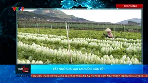 Thời sự: Toàn cảnh 24h (04/02/2026)