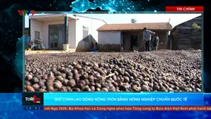 Thời sự: Toàn cảnh 24h (08/02/2026)