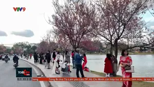 Khai thác cơ hội khi Đà Lạt dẫn đầu điểm đến nội địa dịp Tết