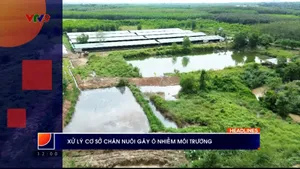 Thời sự: Phương Nam hôm nay (11/02/2026)