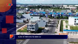 Thời sự: Phương Nam hôm nay (20/02/2026)