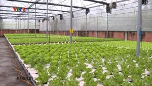 Nông dân, HTX sẵn sàng cho mùa vụ mới đầu năm