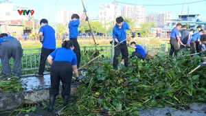 Nhiều hoạt động thiết thực trong tháng thanh niên