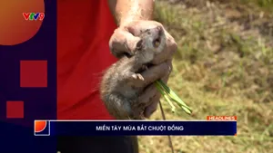 Thời sự: Phương Nam hôm nay (02/03/2026)