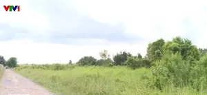 Người dân giảm gánh nặng tài chính khi chuyển đổi đất nông nghiệp