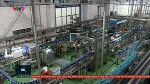 Doanh nghiệp tự động hóa trong cuộc đua năng suất