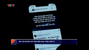 Bốc gỡ đường dây mua bán gan, thận tiền tỷ